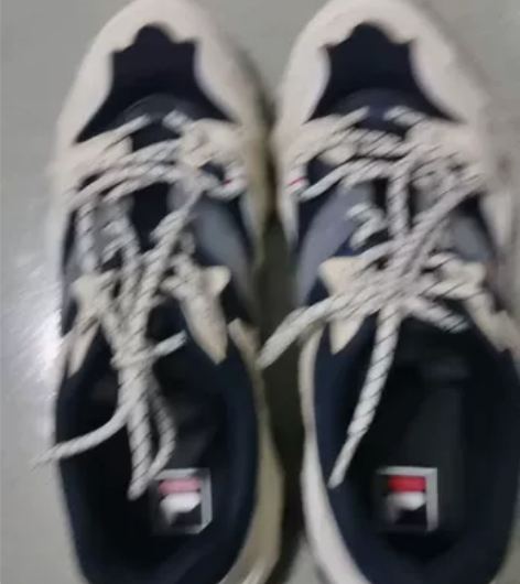 斐乐男鞋 41码数，内长255，大小自己掌...