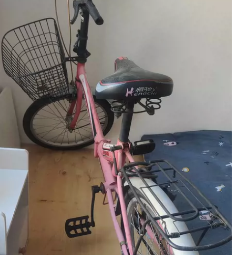 卖自行车，飞鸽自行车是小号，适合女生骑，车...