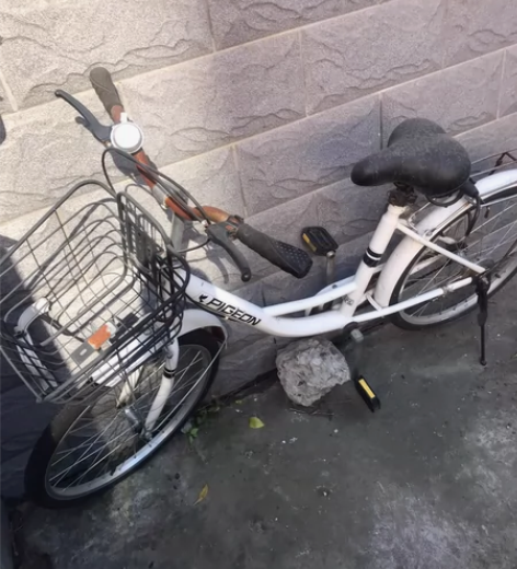 老飞鸽牌自行车32齿/48齿电镀牙盘 实物...