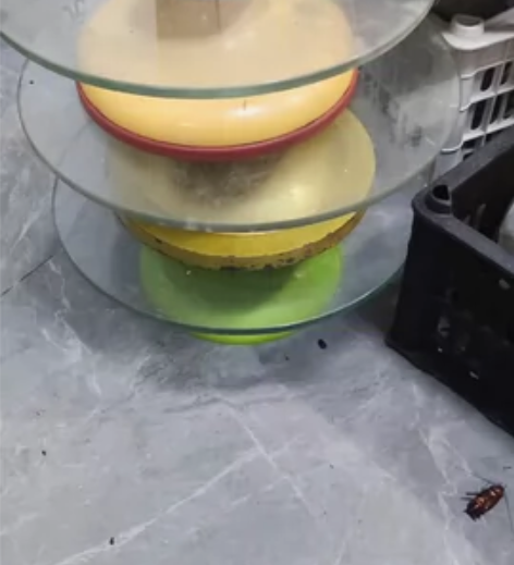 玻璃面转盘 蛋糕裱花转台 转盘 防滑塑料裱...