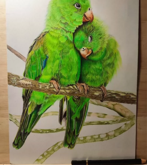 240gA4彩铅画,纯手工绘制。 感兴趣的...