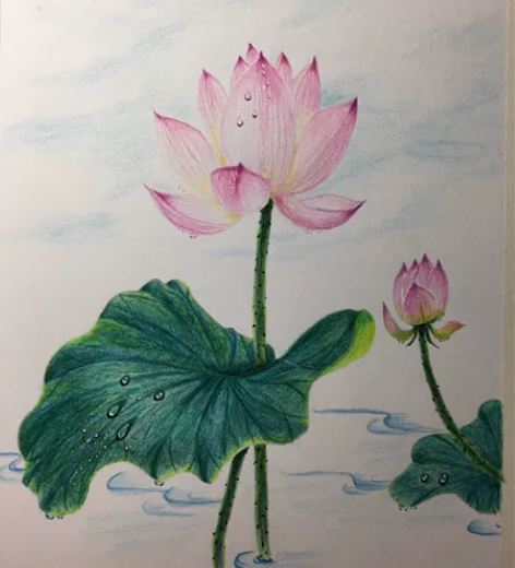 彩铅画：荷。都是16Ｋ。一幅获多福本白，3...