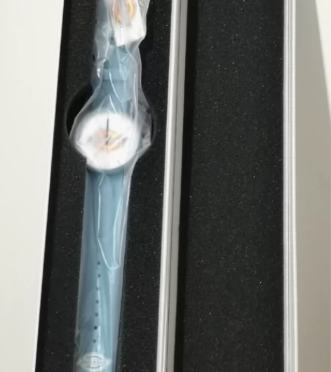 Dickies手表 全新 仅仅拍照使用 原...