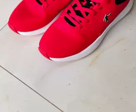 乔丹运动鞋245码，百货大楼购买， 孩子穿...