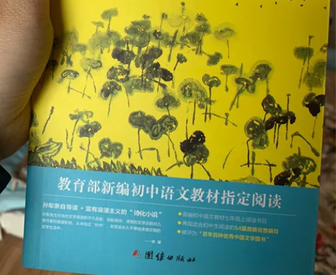 白洋淀纪事,全新只拆过包装,完好无损,教育...