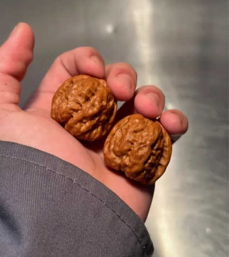 三七小蛙蛙 感兴趣的话点“我想要”和我私聊...