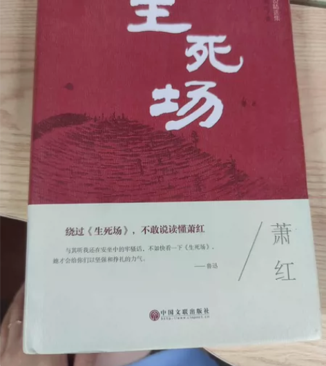 《生死场》生死场(萧红小说精选集)(精)生...
