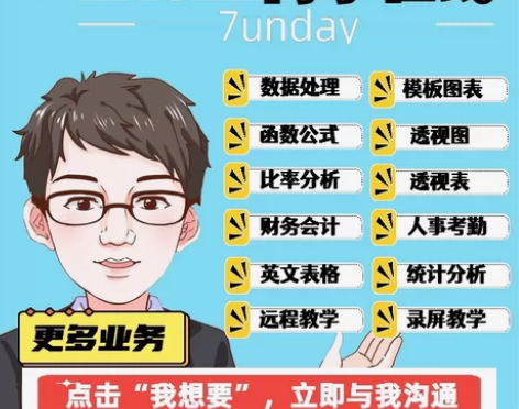 excel数据处理代工excel指导 ex...