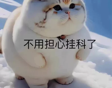 大学生期末考试辅导 补考重修辅导期末考试培...