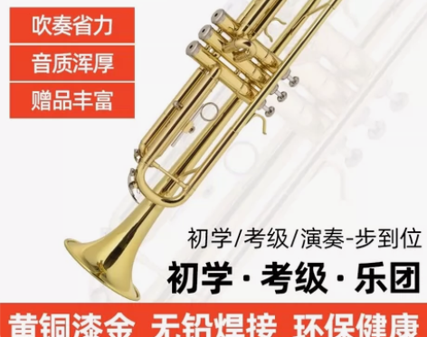 全新正品原装小号降B调学生成人初学者学生版...