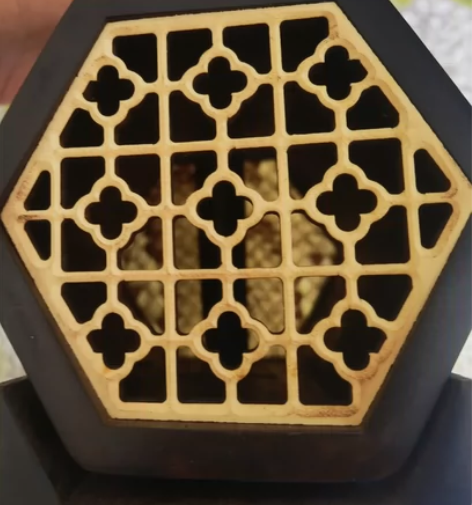 非专业人士勿扰,有专业人士以特殊皮制作构成...