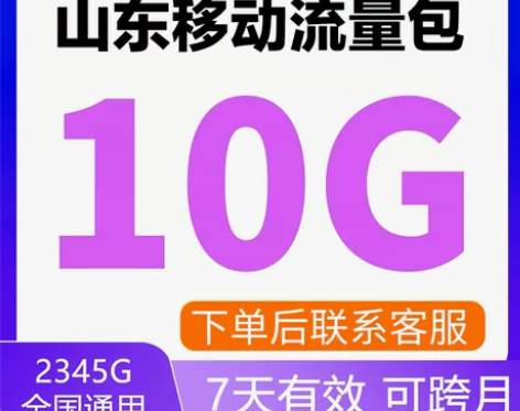 山东移动流量充值10G中国移动流量4G5