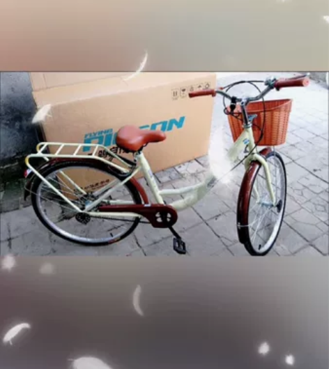 【全新飞鸽自行车】男女脚踏车通勤车男女复古...