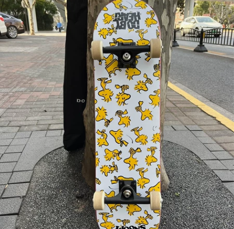 DBH滑板初学者青少年成人专业动作刷街双翘...