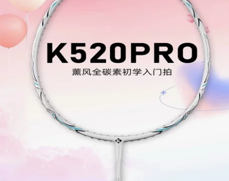 羽毛球拍球拍 碳素羽毛球拍熏风K520pr...