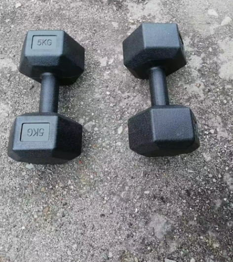 全新包邮33元10kg哑铃一对便宜出家用健...