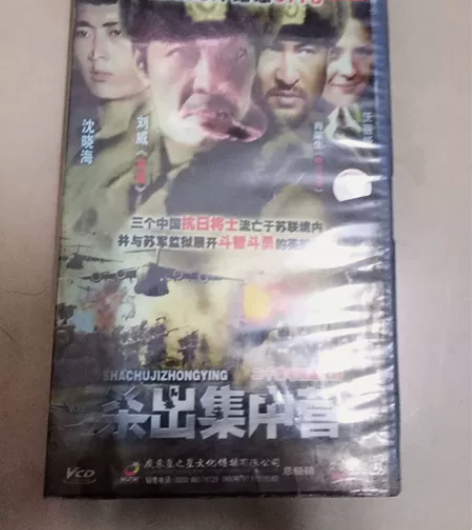 影片杀出集中营，全套二十集，经典怀念，极具...