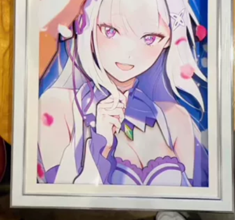 爱蜜莉雅单人手工装饰立体画 【相框尺寸】2...