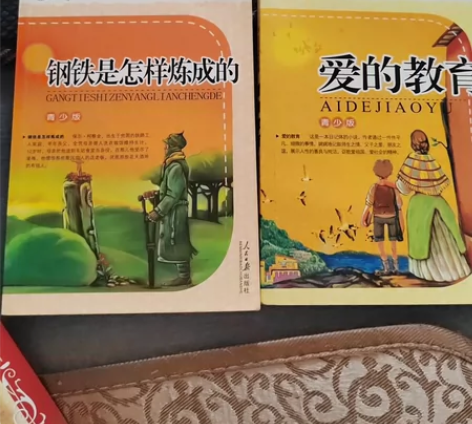 语文新课标指定课外阅读书目，钢铁是怎样炼成...