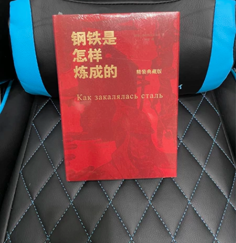 钢铁是怎样炼成的[钉子][钉子][钉子]精...