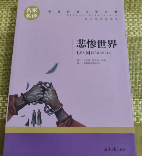 【文学名著】悲惨世界 名家名译青少年版小学...