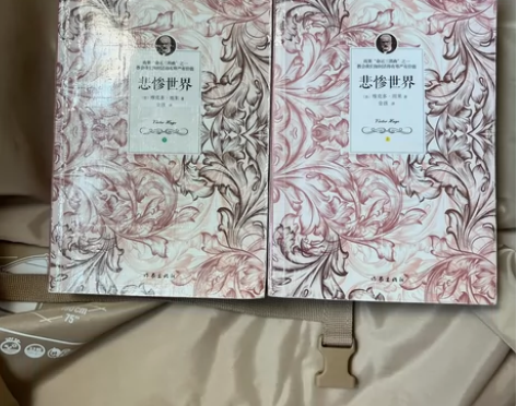 悲惨世界 上下册悲惨世界(上下)/世界文学...