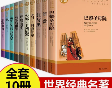 世界十大名著全套10册 简爱书籍 巴黎圣母...