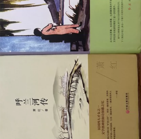 初中生必读的经典书籍《朝花夕拾呐喊》 《呼...