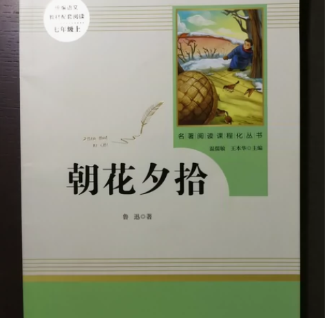 朝花夕拾(7上)/名著阅读课程化丛书 感兴...