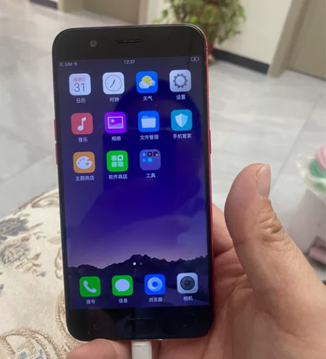 Oppo r11外观品相看图64G内存的没...