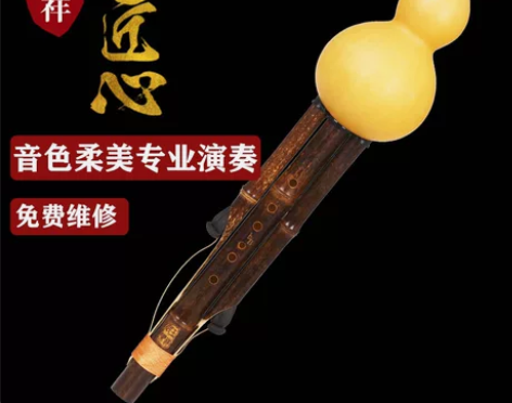 葫芦丝丝 葫芦丝初学原生态傣味专业演奏型C...