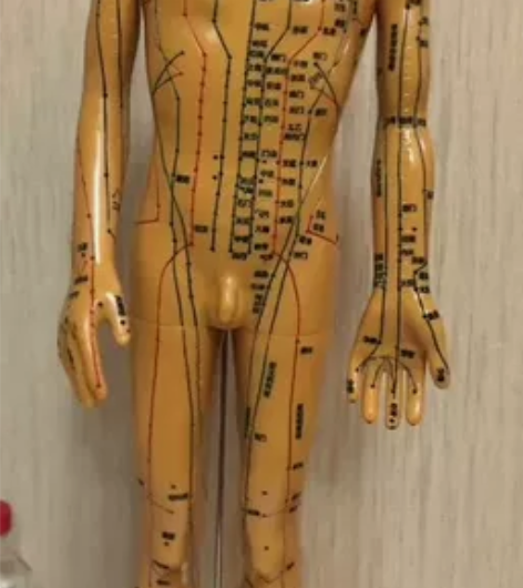 可扎针灸，50厘米男铜模，人体全身经络穴位...