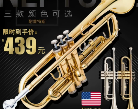 小号 乐器 降B调三音小号 初学演奏考级专...