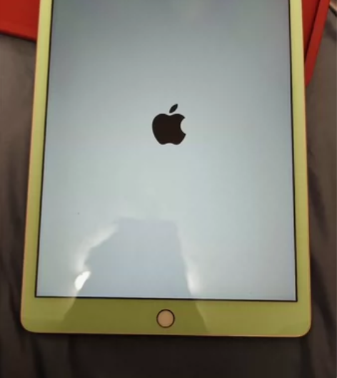 自用iPad2020,128g,有电子发票...