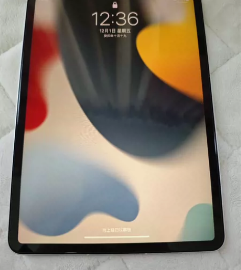 Ipad Pro2021 15.4系统 1...