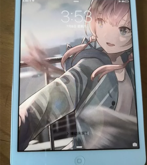 iPad mini1 包邮机子新的一批电池...