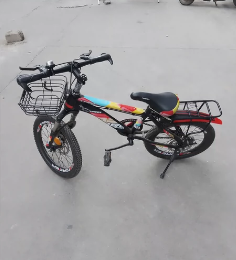 永久折叠车~95新~9月份淘宝1569元购...