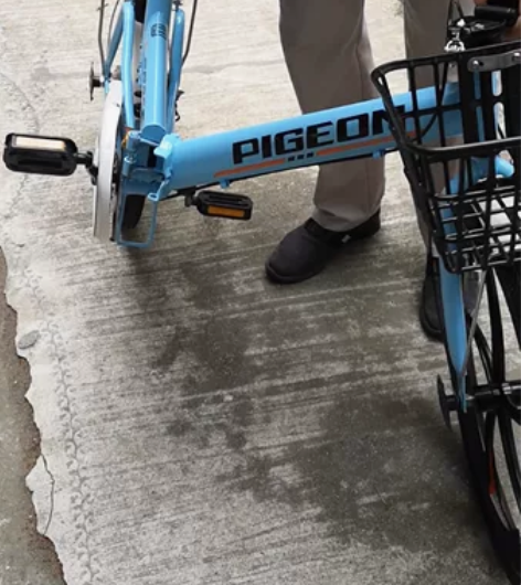 中国飞鸽22英寸折叠自行车，全新，男女成人...