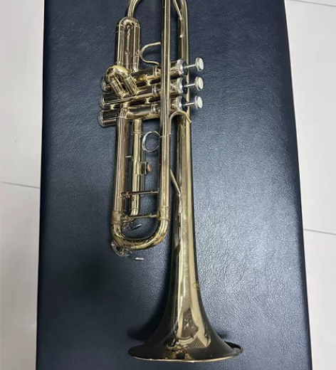 小号 自学 因学业繁忙吹了不到十次 有磕碰...