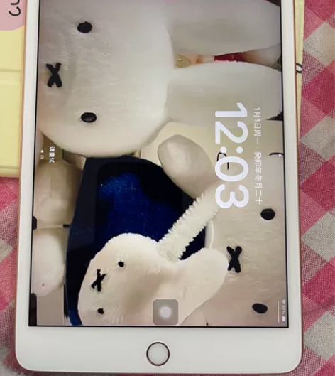 自用ipad mini5 国行64G 玫瑰...