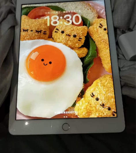 自用ipad2018款128g第6代9.7...