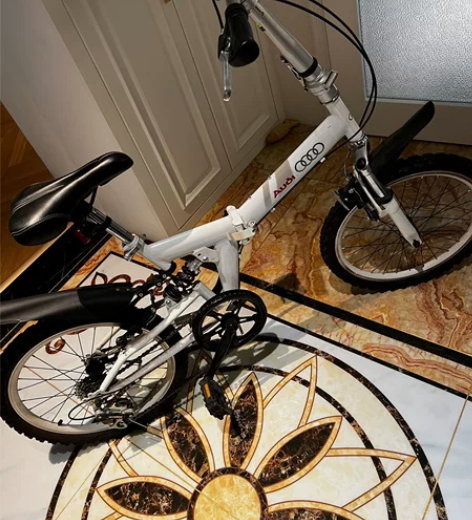 闲置折叠自行车，可放后备箱，98新，没骑过...