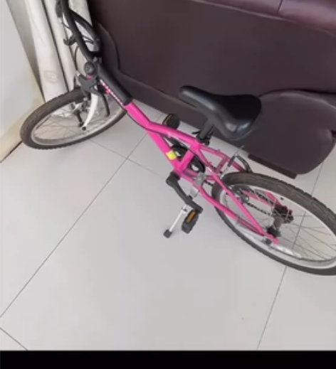 迪卡侬儿童自行车，20寸。 感兴趣的话点“...