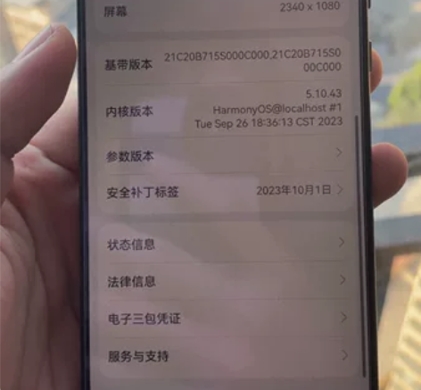 ?闲鱼买来做项目的华为mate30二手机，...