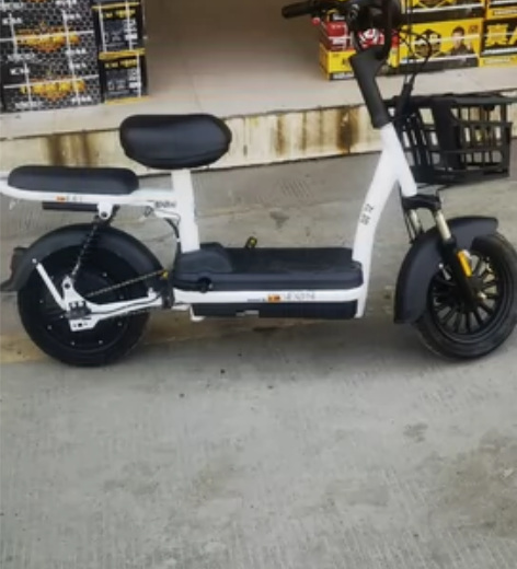 飞鸽电动车，48V12A新电池，只骑了一个...