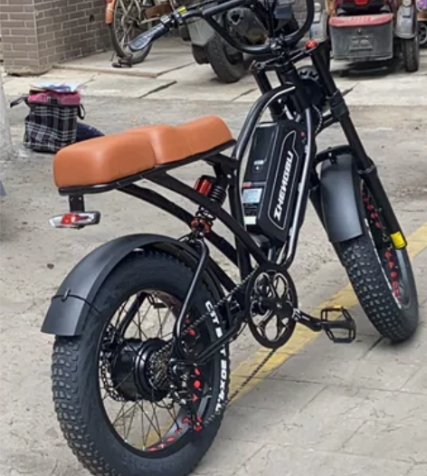 正步（ZB）20寸宽肥胎山地车变速复古越野...