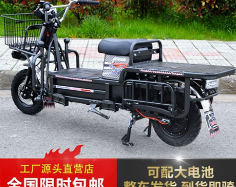 摩托车 载重王拉货可上牌两轮电动车