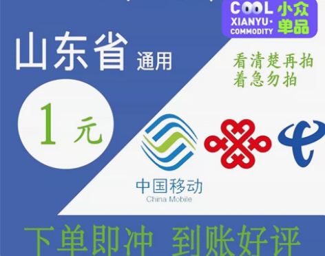 1元话费移动山东，联通电信1元，客服在线，...