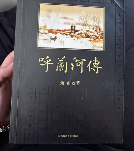 呼兰河传/中小学生必读丛书 和主页其他一起...