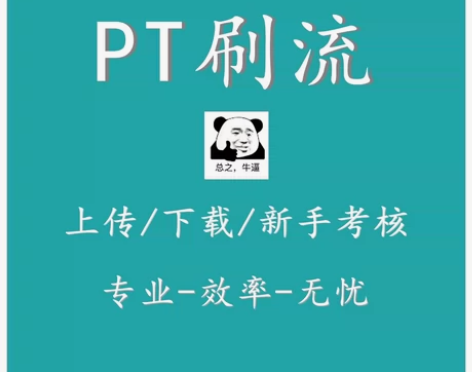 PT安全稳定刷流,刷上传/下载,过新手考核...